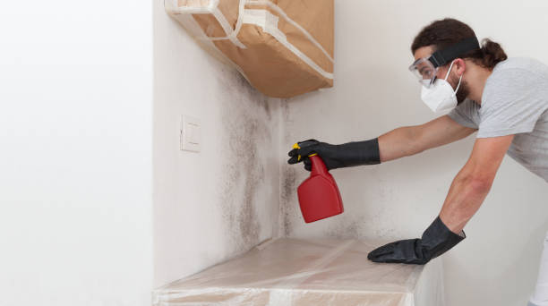 Professional Mold Testing technician working in East Walpole, MA
