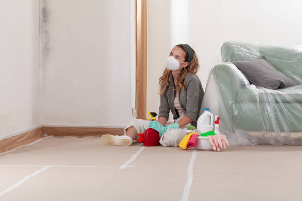 Reliable Mold Testing contractor in East Walpole, MA by WQB Mold Removal